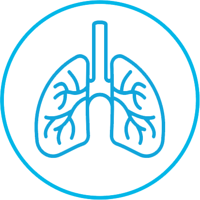 Lungs icon